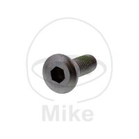 Screw M8x1.25x24 for Honda SYM