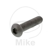 Screw M6x1.25x30 for Gilera Piaggio Vespa