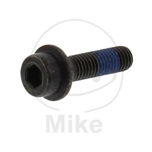 Tornillo M8x1,25x30 para Suzuki 125 250 500 600 750