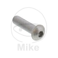 Screw M8x1.25x30 for Aprilia 50 125 200 250 500