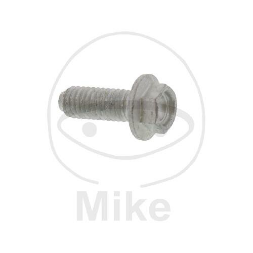 Screw M6x1x16 for BMW G 650 Xchallenge Xcountry Xmoto 07-10
