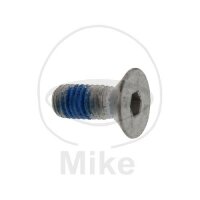 Screw M8x1.25x15 for BMW K 75 100 1100 1200 K1 1000 R 850...