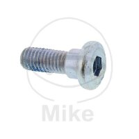 Tornillo M8x1,25x24 para Daelim 50 125 250