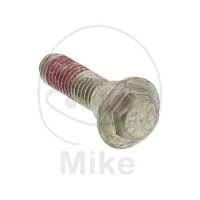 Vite M8x1,25x30 per KTM Duke RC 125 200 390