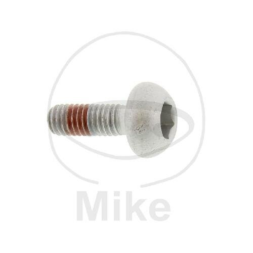Screw M6x1x17 for Honda CB 1100 CBR 1000 GL 1800 VFR 1200
