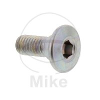 Tornillo M8x1,25x20 para Kawasaki BJ KFX 250 KLF 300 KVF...