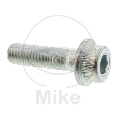 Vite M8x1,25x30 per Suzuki GS 500 GSF 400 GSX 600 750 RG 250 500