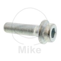 Vite M8x1,25x30 per Suzuki GS 500 GSF 400 GSX 600 750 RG...
