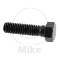 Vite M8x1,25x30 per Yamaha 250 350 400 500 535 550 650...