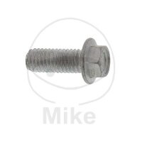 Screw M8x1.25x22 for BMW R 1200 05-11