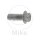 Screw M8x1.25x22 for BMW R 1200 05-11