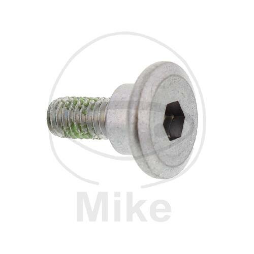 Vite M6x1x17 per Honda CR 80 125 250 NX 250 650 XRV 650