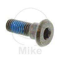 Screw M8x1.25x24 for ATU CX 50 Kymco 50 125 150 200 250...