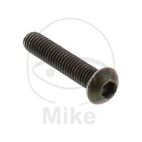 Screw M6x1x30 for Aprilia Scarabeo 250 400