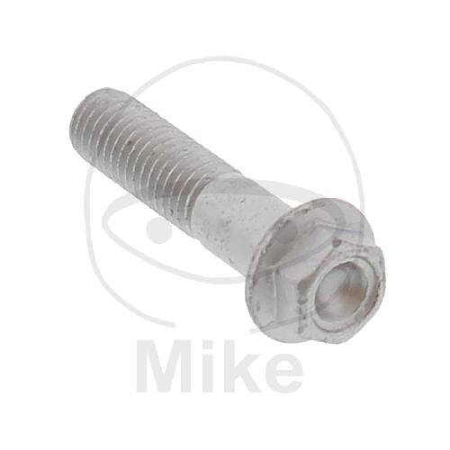 Screw M8x1.25x35 for Aprilia Gulliver 50 Pegaso 650