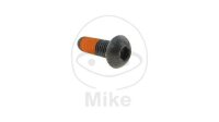 Schraube M8x1,25x25 für Moto Guzzi 350 650 750 850...
