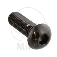 Schraube M8x1,25x25 für BMW C1 125 200 F 800 K 100...