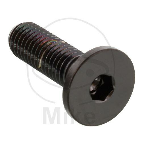 Vite M8x1.25x26 per BMW F 750 800 850 K 1300 1600 R 1200 1250 S 1000