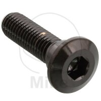 Vite M8x1,25x30 per Kawasaki 50 80 125 250 300 305 400...