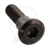 Vis M8x1,25x30 pour Triumph 600 650 660 675 750 765 800...