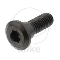 Screw M8x1.25x24 for Honda 110 125 150 250 300 400 420...