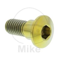 Schraube M8x1,25x22 für Suzuki 125 150 200 250 400...