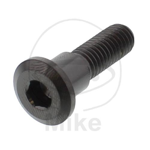 Tornillo M8x1,25x30 para Triumph 600 650 660 675 750 765 800 865 900 955 1050 1200 1215 1600 1700 2300