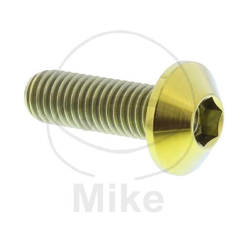 Vite M8x1,25x25 per Yamaha 250 400 500 530 600 650 750 800 850 900 950 1000 1100 1200 1300 1600