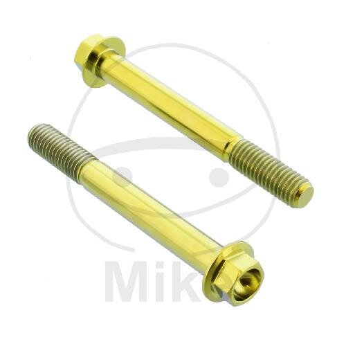 Screw set brake caliper titanium gold for KTM RC 390 ABS 14-16