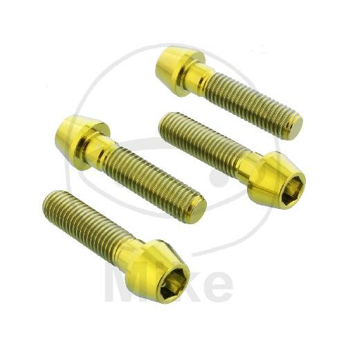 Screw set brake caliper titanium gold for Aprilia RS4 125 4T 11-16