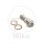 Banjo bolt double M10x1,25 stainless steel for Honda Kawasaki Suzuki Yamaha