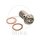 Banjo bolt single M10x1,00 Titan Racing para Ducati Kawasaki KTM MV Augusta Suzuki Triumph