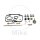 Carburetor repair kit for Polaris Scrambler 500 # 2000-2008