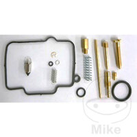 Kit de reparación del carburador (juego completo)...