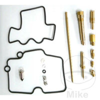 Kit de reparación del carburador (juego completo)...