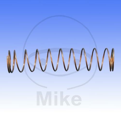 Carburetor spring Dellorto