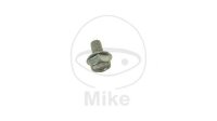 Original screw for pinion for KTM Duke RC 125 200