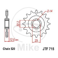 Ritzel 13 Zähne Teilung 520 für Gas Gas EC 200...