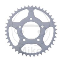 Pignone  42 denti passo 525 076 / 100