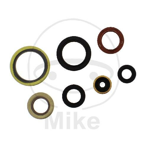 Engine gasket set for Husqvarna TC TE 250 300 # 2017