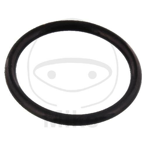 Timing chain tensioner seal Triumph Bonneville 900 1200 Tiger 800 Trophy 1215