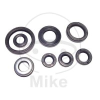 Dichtungssatz Motor für Yamaha YFM 660 R AM01W #...