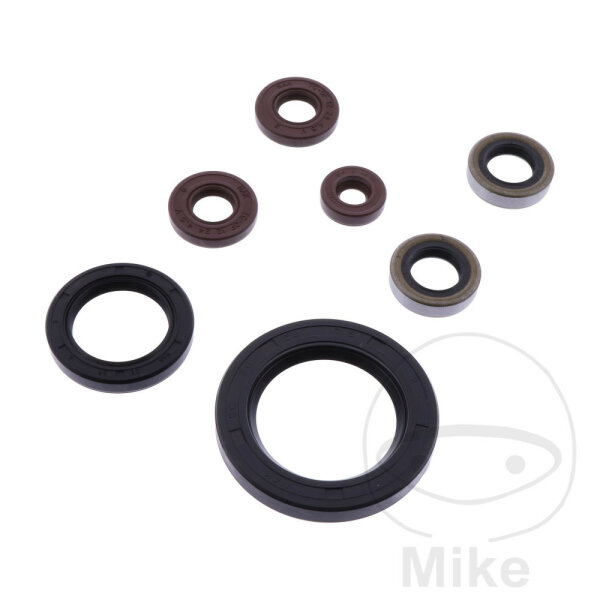 Set di paraoli ATH per Sherco SE SEF 250 300