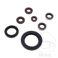 Set di paraoli ATH per Sherco SE SEF 250 300