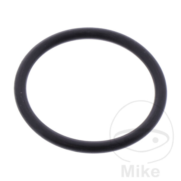 Starter O-Ring 2,5x25 mm ATH per Aprilia RXV SXV 450 550 Suzuki AH 100 DR-Z 70