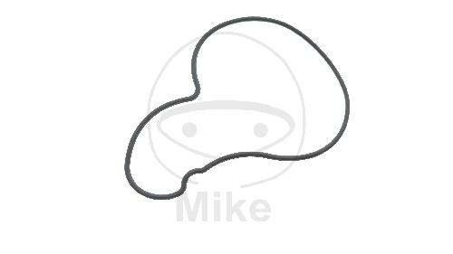 Joint de pompe à eau pour Kymco AK 550 # 2017-2019