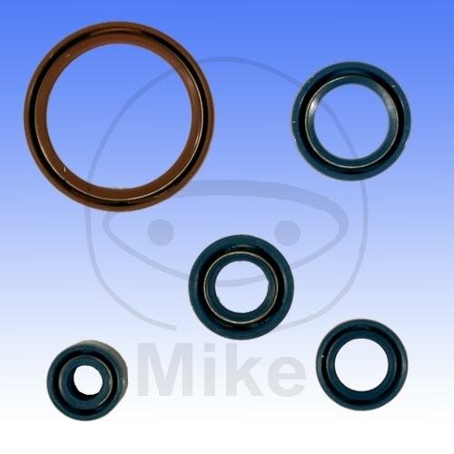 Dichtungssatz Motor für Husqvarna SM TC TE 250 450 510 # 2003-2010