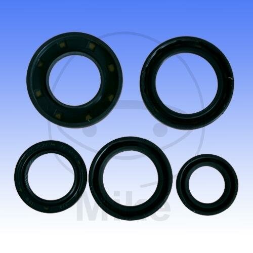 Jeu de joints de moteur pour Aprilia Habana Scarabeo SR Suzuki UF 50 # 1999-2008