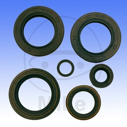 Dichtungssatz Motor für KTM EGS EGS-E LC4-E SC 400 620 640 # 1996-2003