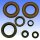 Engine gasket set for KTM Duke E-GS E-XC EGS EXC Incas SX 600 620